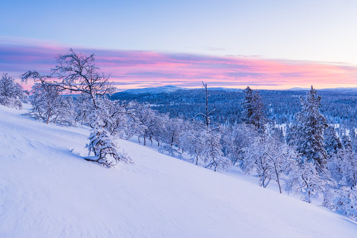 winter image